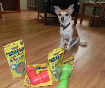 pet dog products