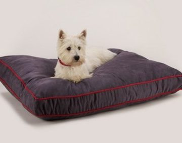 pet dog products