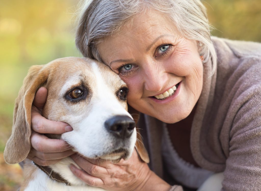 on demand dog service apps