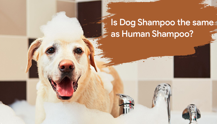 Dogs' shampoos