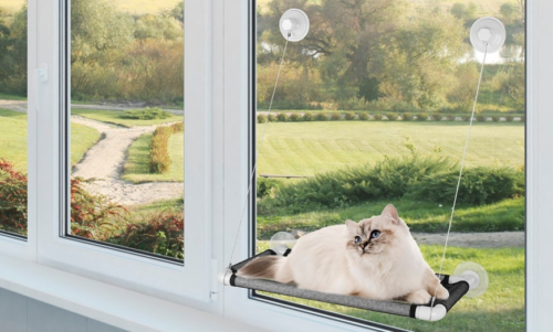cat window perch