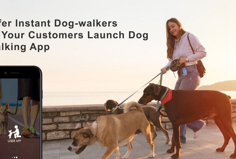 dog walking app
