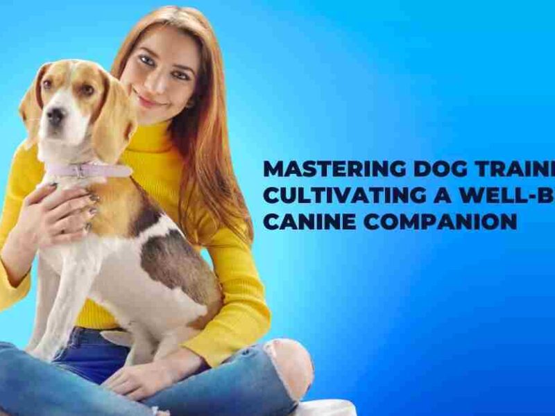 canine companion