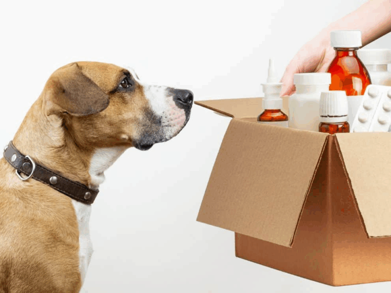 pet vet online pharmacy