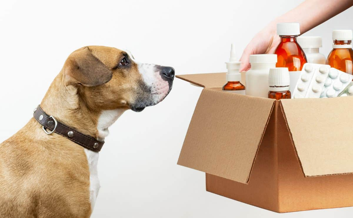 pet vet online pharmacy